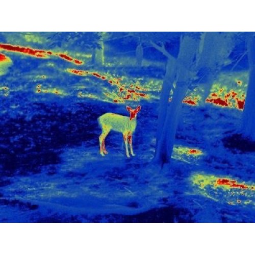 Прицел тепловизионный GUIDE TS450 в Ельце