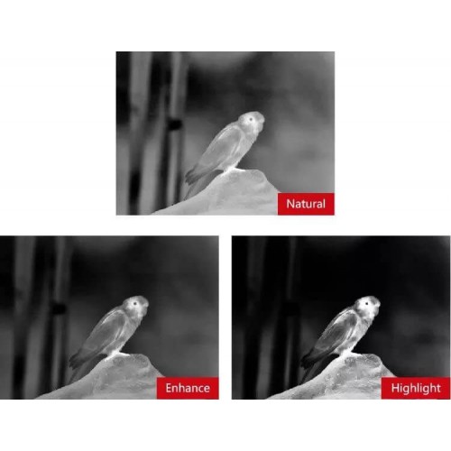 Тепловизионный бинокуляр Guide TN430 400х300, ø35мм, лазерный дальномер в Ельце