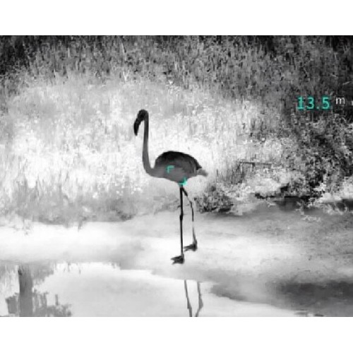 Тепловизионный бинокуляр Guide TN430 400х300, ø35мм, лазерный дальномер в Ельце