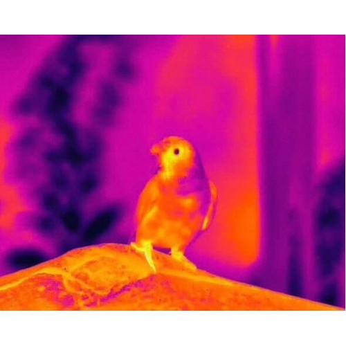 Тепловизионный бинокуляр Guide TN430 400х300, ø35мм, лазерный дальномер в Ельце